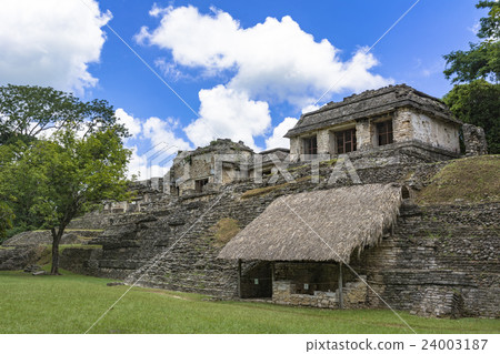 Palenque ruins sleeping in a jungle 24003187