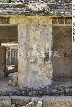 Palenque ruins sleeping in a jungle 24003193