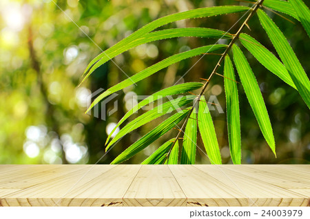 Outdoor picnic background in summer sun light. Outdoor picnic background in summer sun light. 24003979