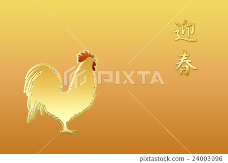 Chicken Chicken 24003996