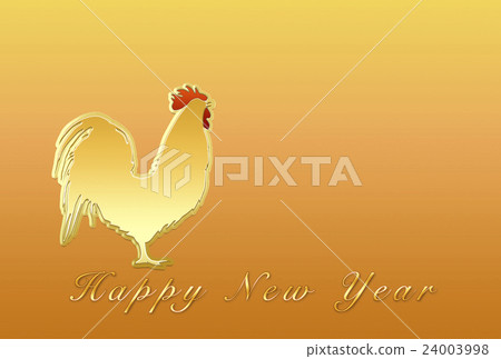 Chicken Chicken 24003998