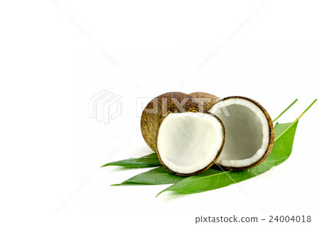 Cut coconut with fresh organic coconut kernel. Cut coconut with fresh organic coconut kernel. 24004018