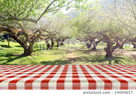 Outdoor picnic background in summer sun light. Outdoor picnic background in summer sun light. 24004657