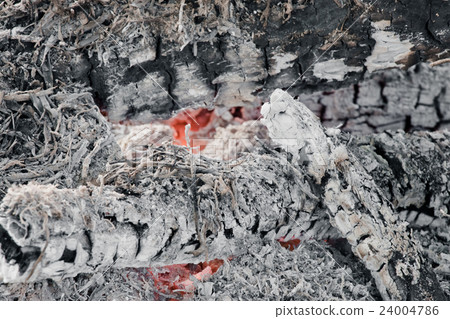 ash of Wood had burn out to Charcoal ash of Wood had burn out to Charcoal 24004786