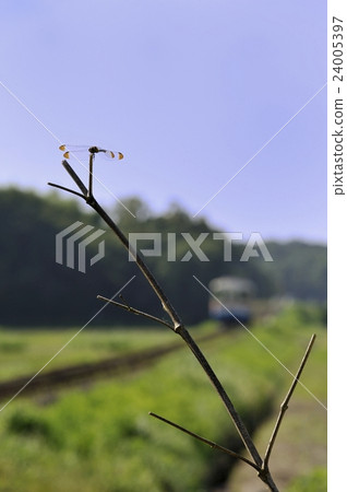 Hitachinaka沿海鐵路在秋天 24005397