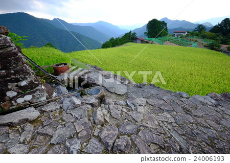 Summer at Kanashi Pass (Totsukawa Village, Yoshino-gun, Nara Prefecture) 24006193