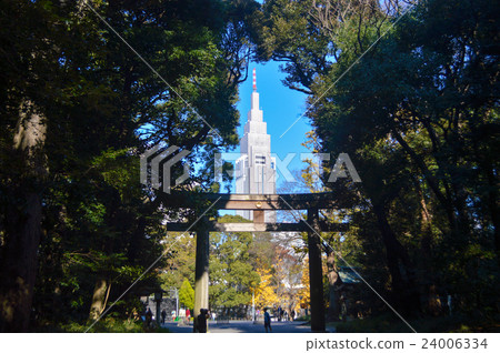 Meiji Shrine torii and skyscraper 24006334