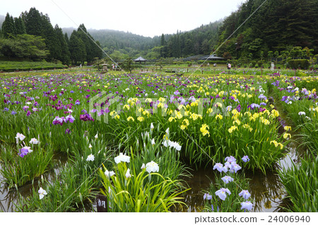 長澤寺花園 24006940