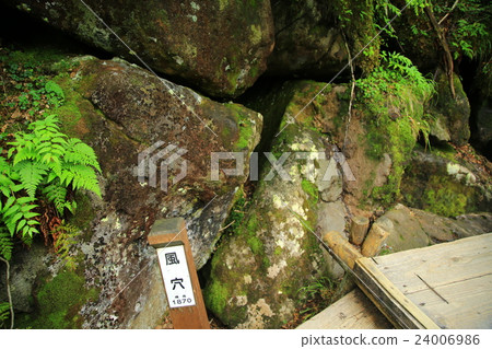 Tsugaike Nature Park Nagano Prefecture 24006986