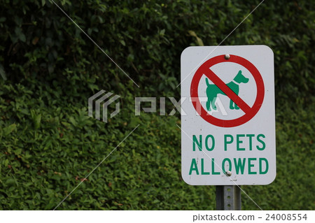 dung, excrement, poop 24008554