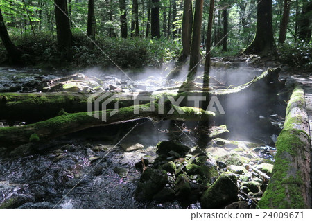Morning river fog on the Kamikochi promenade Morning river fog on the Kamikochi promenade 24009671