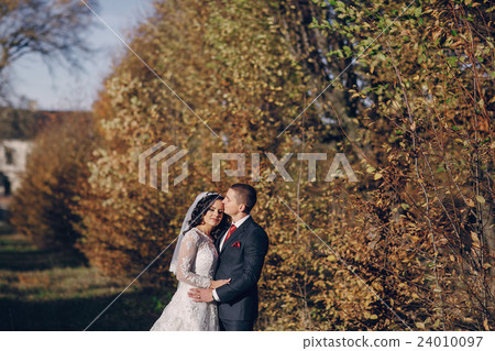 wonderful wedding day 24010097