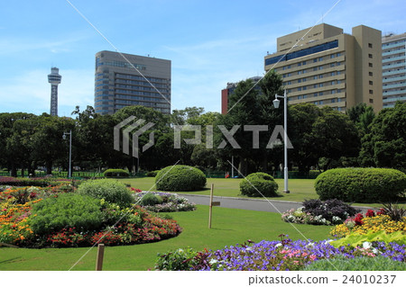 Yokohama / Yamashita Park on a sunny day 24010237