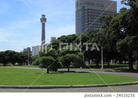 橫濱/ Yamashita公園在一個晴天 24010238