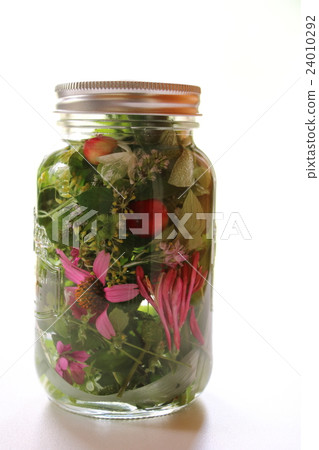 Detox water 24010292