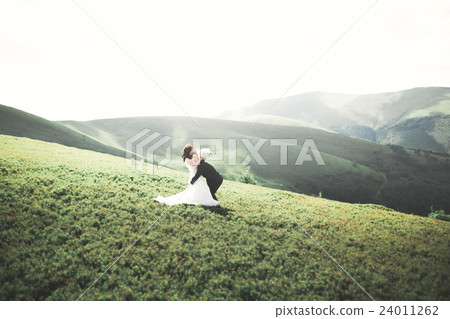 Kissing wedding couple staying over beautiful 24011262