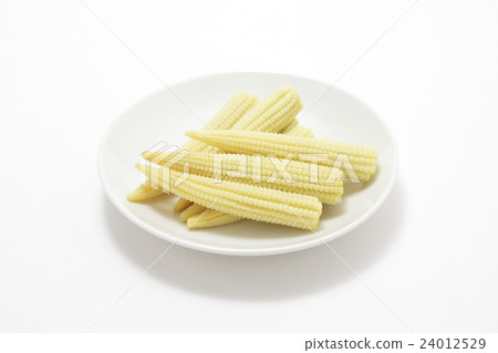 young corn 24012529