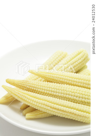 年輕的玉米 24012530