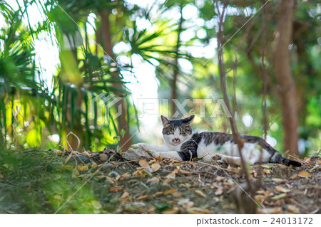 August's petition 24013172