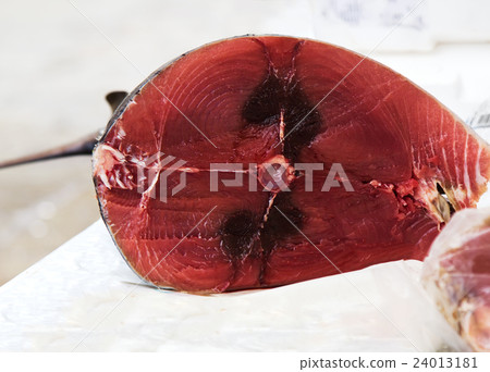 Fresh tuna and seafood at fish market 24013181