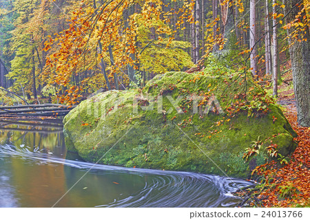 Autumn brook 24013766