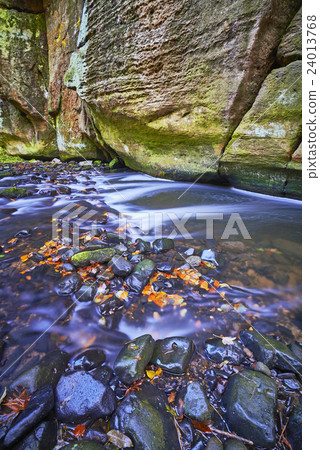 Autumn brook 24013768