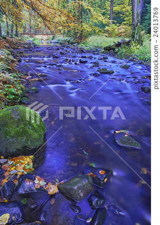 Autumn brook 24013769