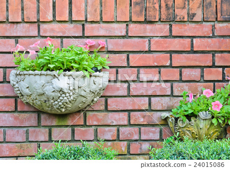 Flower pots on brick wall 24015086