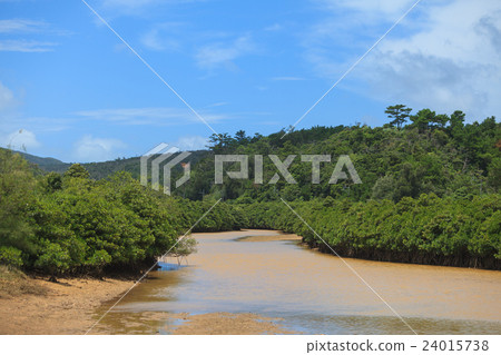 Hirugi forest in Keisatsu Bay Hirugi forest in Keisatsu Bay 24015738