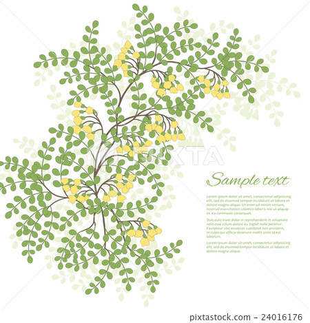 Spring card with leaves and flowers Spring card with leaves and flowers 24016176