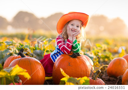 Child playing on pumpkin patch 24016331