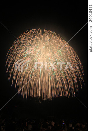 Fireworks 24018451