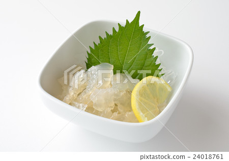 Jellyfish Sashimi 24018761