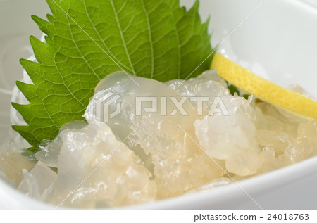 Jellyfish Sashimi 24018763