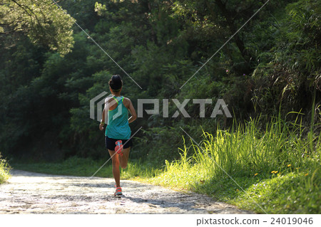 fitness woman runner running on forest trail 24019046
