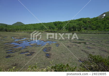 Marshland - Niseko Takahara moorland 24019095