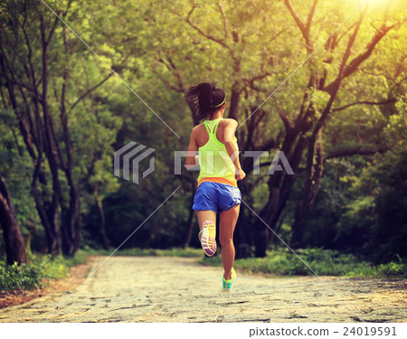 young fitness woman trail runner running in forest young fitness woman trail runner running in forest 24019591