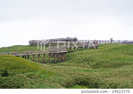 Shiretoko Goko 24022570