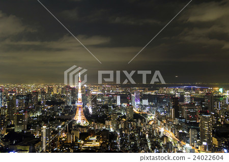 Night view of Tokyo Tower 24022604