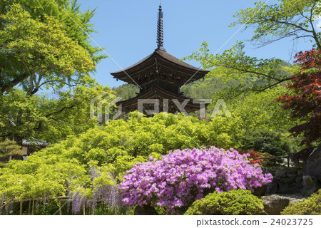 Triple tower of Maeyamaji and Azalea 24023725