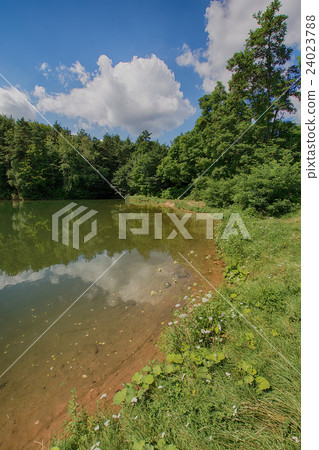 Pond in the forest in Klucze (Poland) 24023788