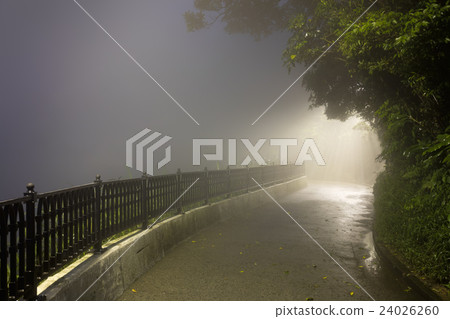 Mystery Fog in the dark park with way to light 24026260