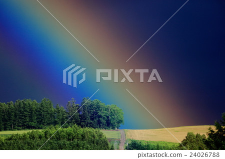 Rainbow Rainbow 24026788