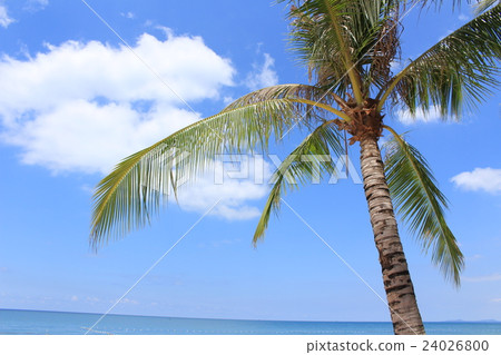 Coast of Phu Quoc Island in Vietnam Coast of Phu Quoc Island in Vietnam 24026800