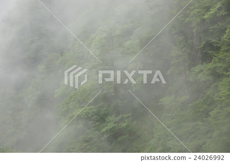 三板山霧 三板山霧 24026992