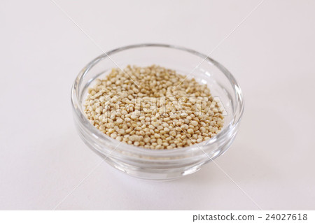 Quinoa 24027618