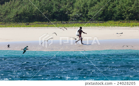 Fernandode Noronha Fernandode Noronha 24028205