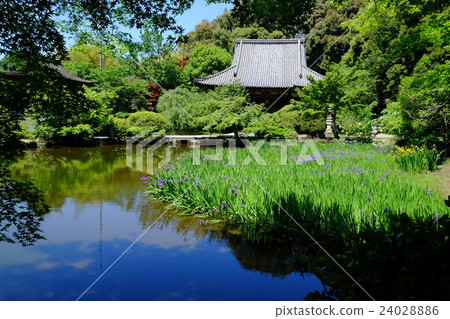 ChoTakeshitera 24028886
