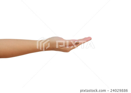 Closeup woman hand 24029886