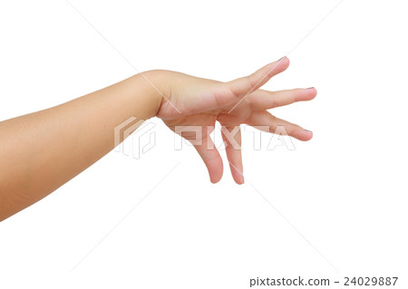 Closeup woman hand 24029887